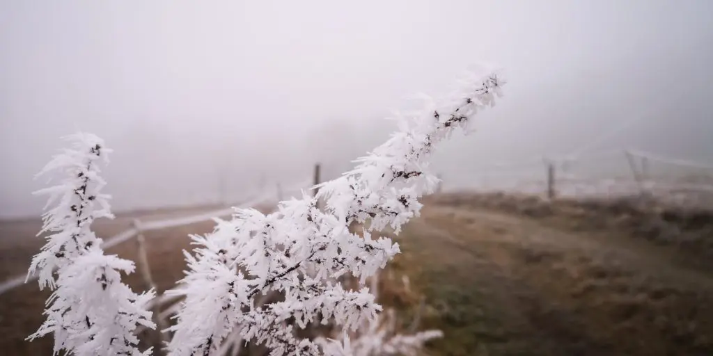 Wie Laufen und Familie zusammenpassen #microadventuresforkids